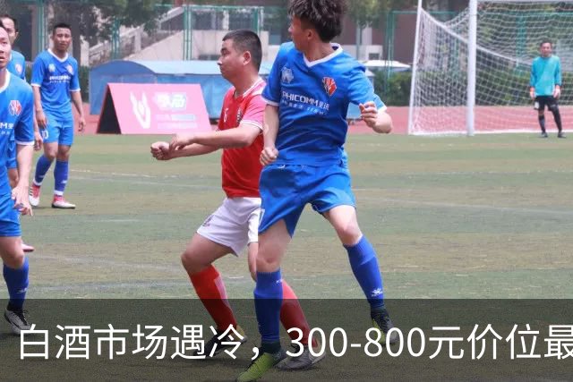 白酒市场遇冷，300-800元价位最先受挫